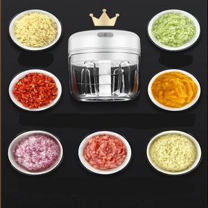 Quick Chop Powered Herbs,Veggie Chopper And Salsa Maker Salmon Lucky