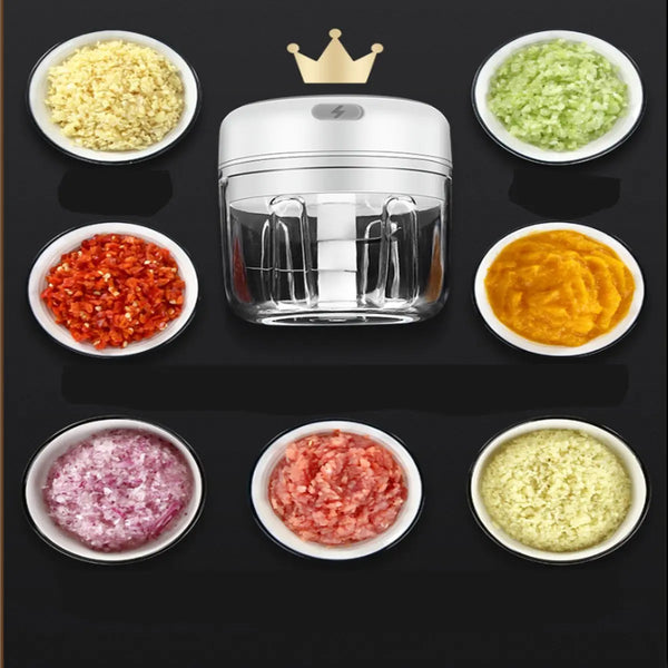 Quick Chop Powered Herbs,Veggie Chopper And Salsa Maker Salmon Lucky