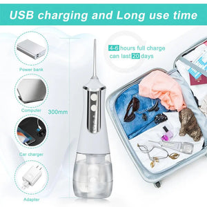 350ml Large Water Tank Dental Flushing Device USB Charging Irrigator Pink Iolaus