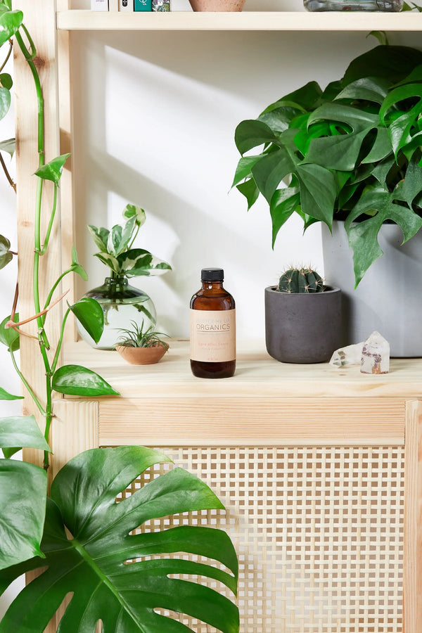 Natural Aged After Shave / Cologne Organic Bay Woodsy / Men’s Natural White Smokey