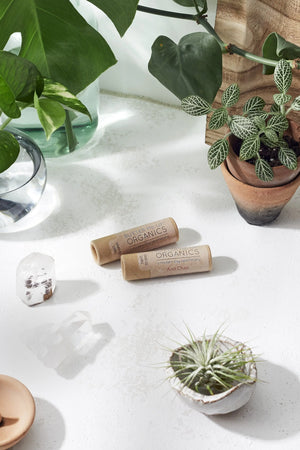 Organic Anti-Chap Lip Balm / Chapped Lips / Organic Lip Moisturizer / White Smokey