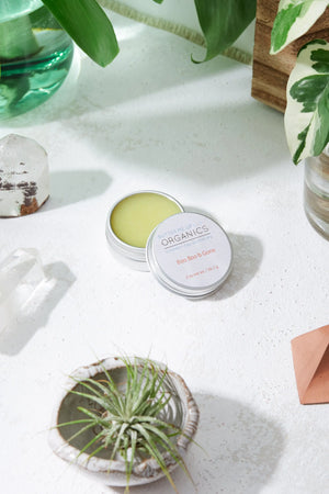 Boo Boo b Gone / Natural Neosporin / Healing Wound Salve White Smokey