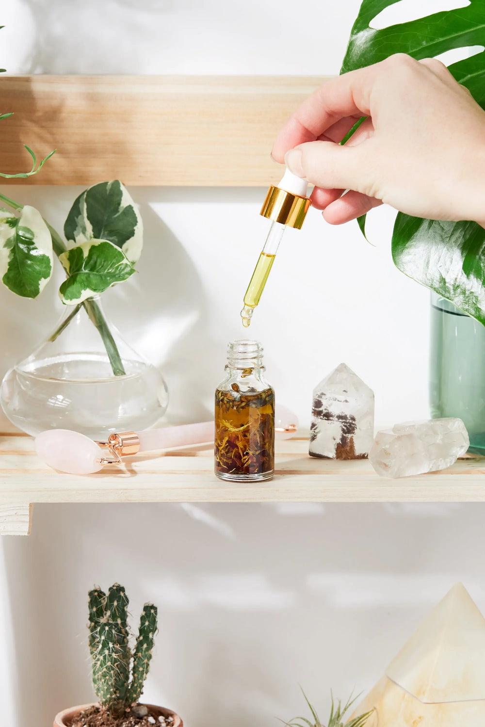 Anti Aging / Youth Serum / Facial Serum / Butter Me Up Organics / - Thrivera