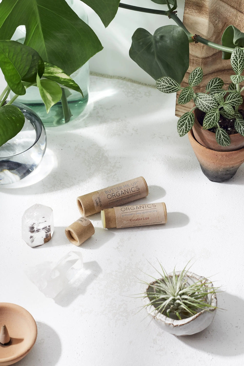 Kissable Lips / Chapstick Lip Balm / PAPERBOARD Tube White Smokey