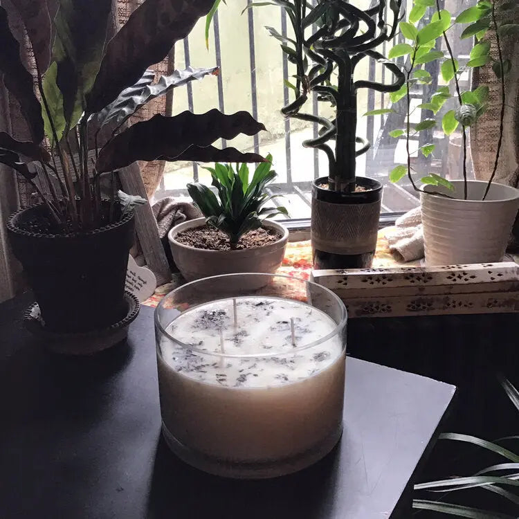 Lavender 3 Wick Aromatherapy Large Soy Wax Candle Indigo Poseidon