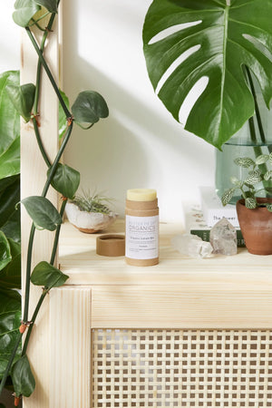 Organic Lotion Bar Shea Butter and Coconut Oil White Smokey
