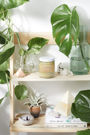 Sensitive Skin Cream with Black Seed Oil and Argan White Smokey