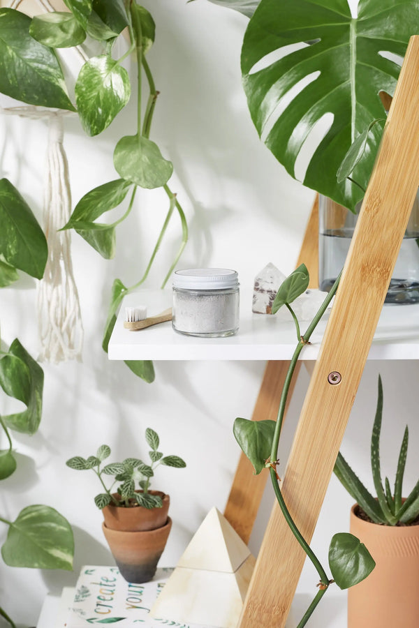 Tooth Powder / Toothpaste / Organic Tooth Powder / Organic Tooth White Smokey
