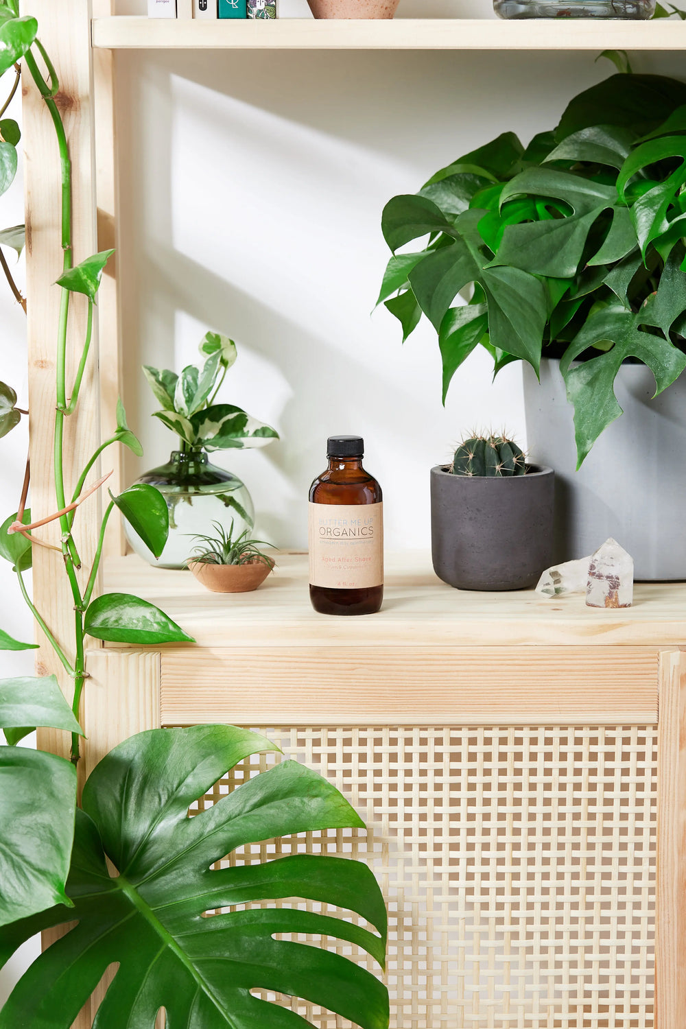 Natural Aged After Shave / Cologne Organic Bay - Thrivera